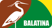 Balatina