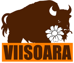 Виишоара