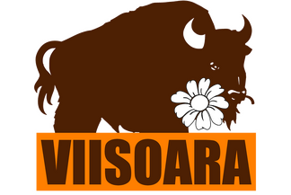 Viișoara Viișoara