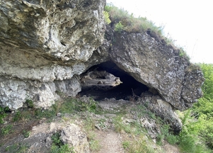 galFoto1