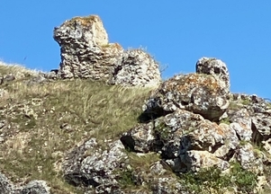galFoto1
