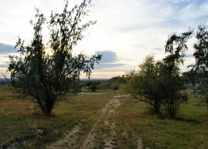 galFoto1