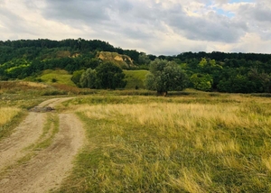 The Wind's Hollow The Wind's Hollow