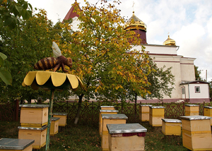 The apiary and the "Land of Honey" Museum