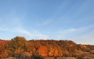 Смотровая площадка Холм