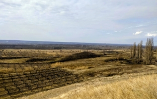 Трехплечный курган