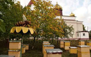 The apiary and the "Land of Honey" Museum